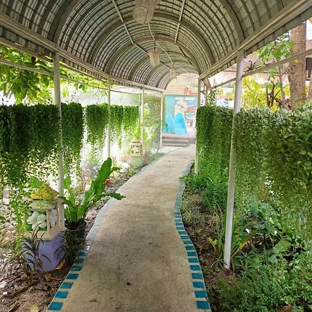 P.Paradise Hotel-3