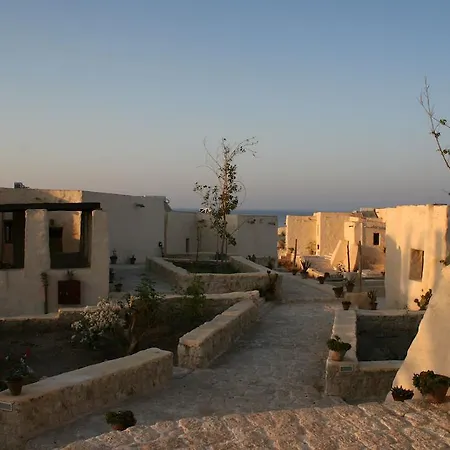 The Oasis-2