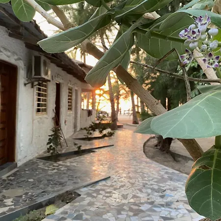 Jungle Beach Resort-2