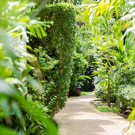 Rummana Boutique Resort - Sha Plus-3