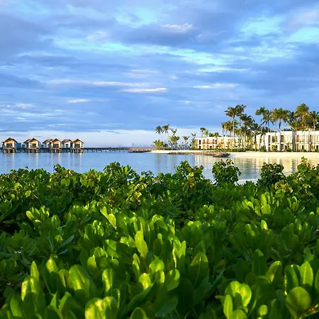 Hard Rock Hotel Maldives - Free Shared Speedboat For Stays From 01St Mar To 31St Oct 2026-2