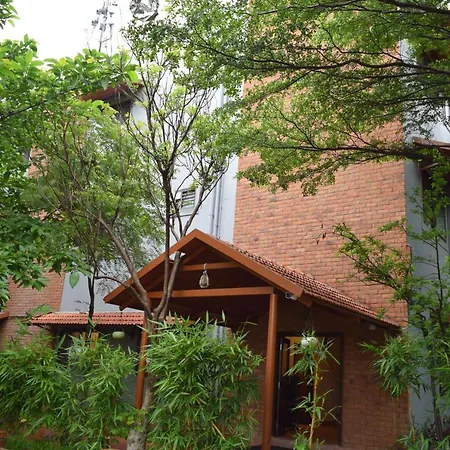 Brown Town Resort & Spa-2