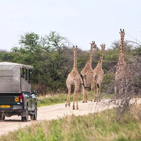 Mushara Bush Camp-2