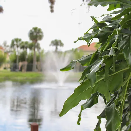Hilton Vacation Club Polynesian Isles Kissimmee-3