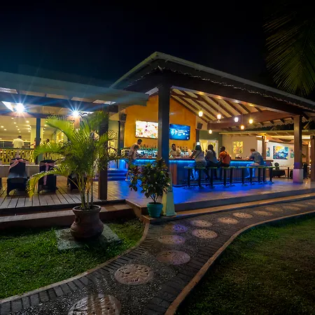 Coco Palm-3