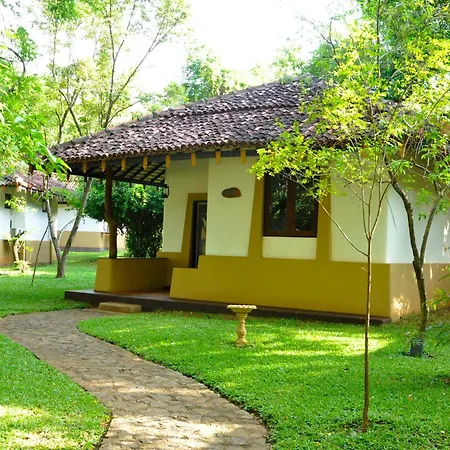 Amaya Lake Dambulla-3