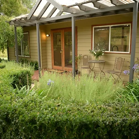 Borrodell Vineyard-3