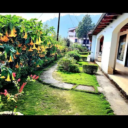 Just Naturals Wellness Resort Nainital-3