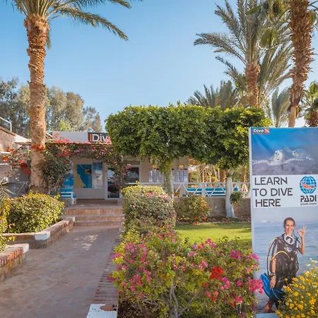 Fort Arabesque Resort, Spa & Villas-2