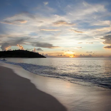 Galley Bay Resort & Spa (Adults Only)-3