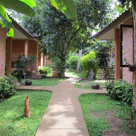 Flora Ville-Sha Plus-3