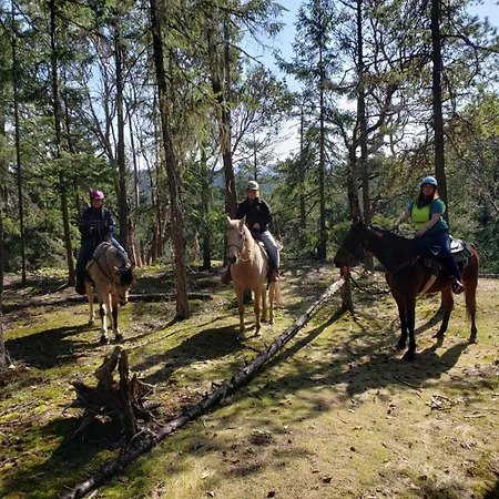 Paradise Acres Ranch-3