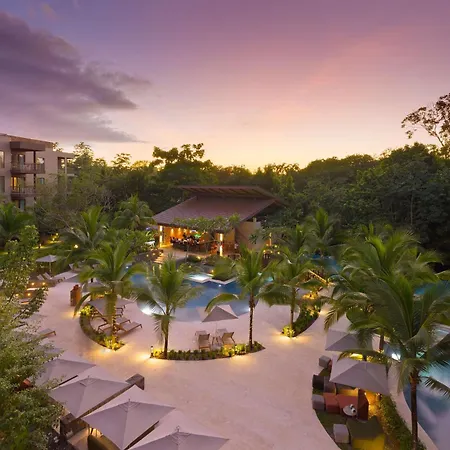 Botanika Osa Peninsula, Curio Collection By Hilton-2