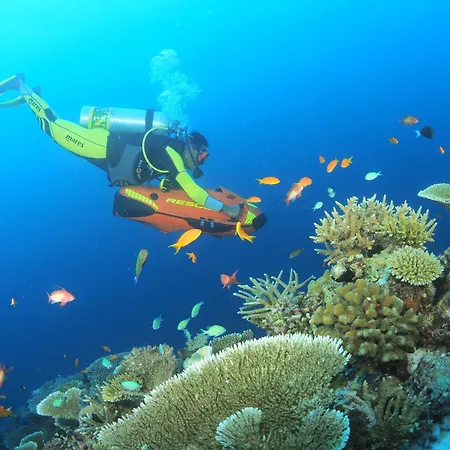 You & Me Maldives - Adults Only - Premium All-Inclusive-3