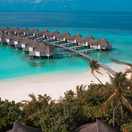 Drift Thelu Veliga Retreat (Adults Only)-3