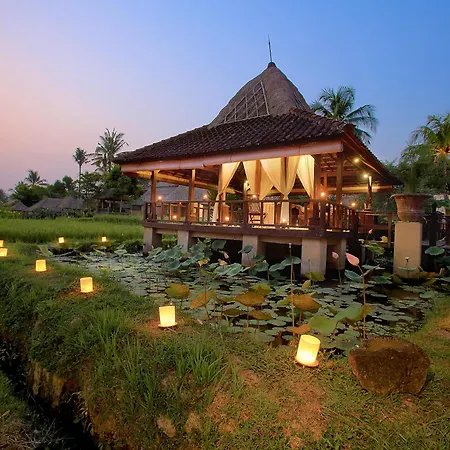 Wapa Di Ume Ubud-2