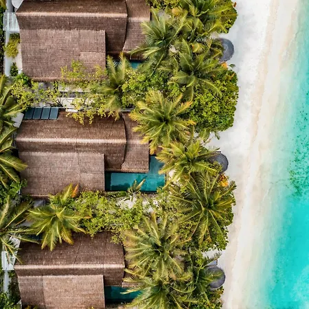 Ozen Life Maadhoo-3