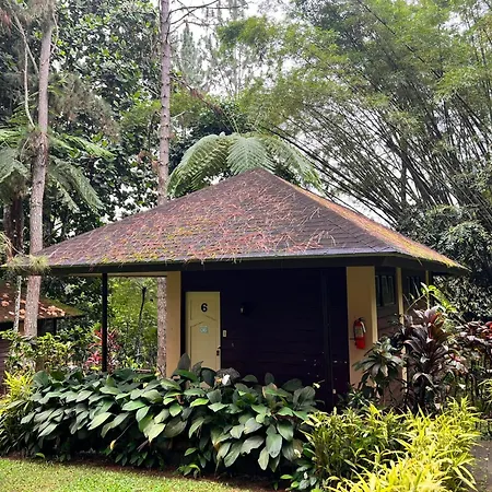 Eden Nature Park And Resort-3