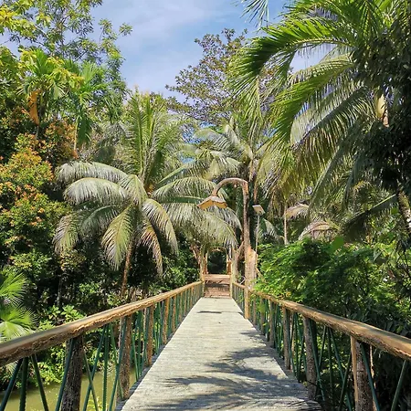 Sepilok Jungle Resort-2