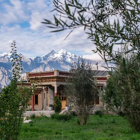 Lchang Nang Retreat-The House Of Trees-Nubra Valley-2