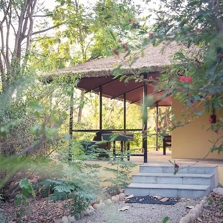 Jim'S Jungle Retreat-3