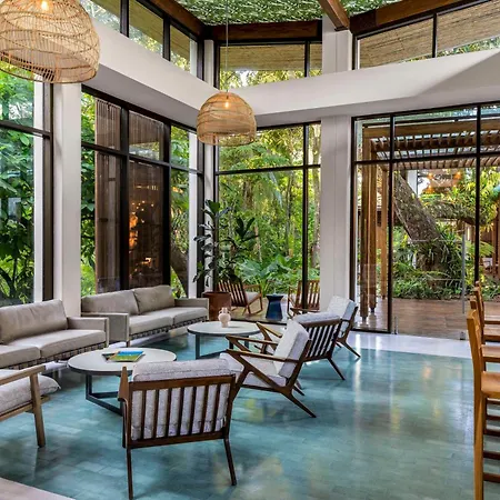 Botanika Osa Peninsula, Curio Collection By Hilton-3