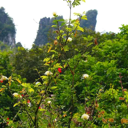 Khao Sok Morning Mist Resort-2