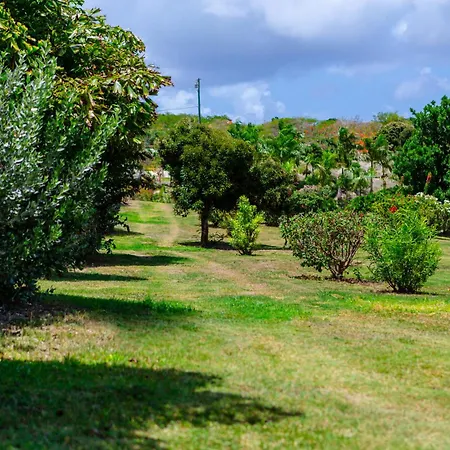 Escape At Nonsuch Bay Antigua (Adults Only)-3