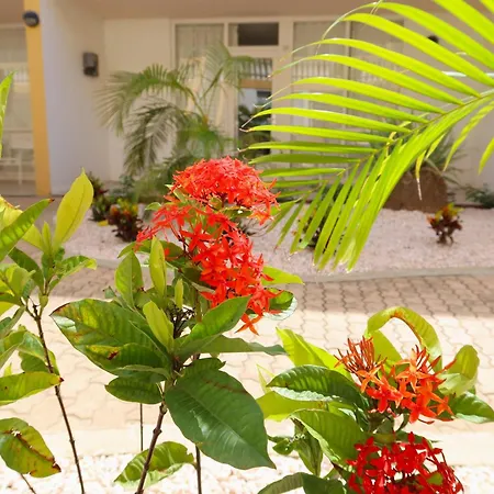 Montana Eco Resort Aruba-2