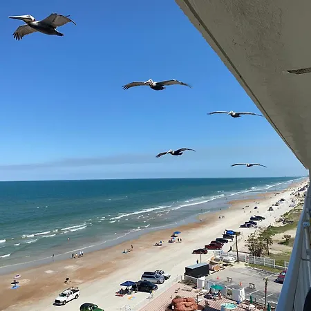 Harbour Beach Resort - Direct Oceanfront, Private Balcony !-3