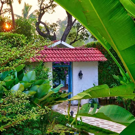 Blu Resorts-3