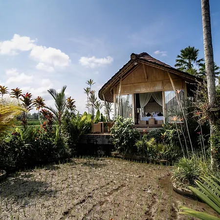 Padi Bali Retreat-2