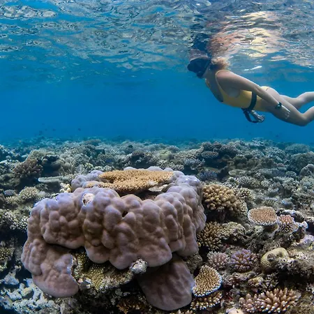Beqa Lagoon Resort-3