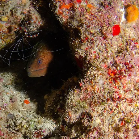 Tranquility Island Eco Dive Resort-3