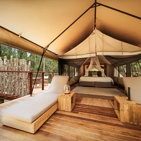 Paperbark Camp-3