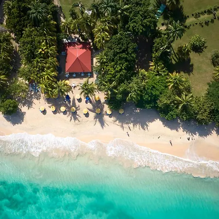 Mount Cinnamon Beach&Wellness Resort-2