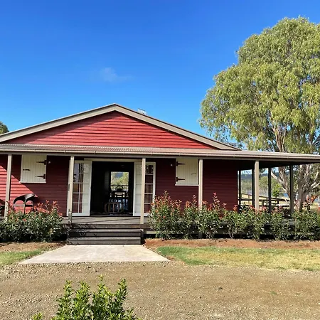 Dusty Hill Vineyard - Moffatdale-3