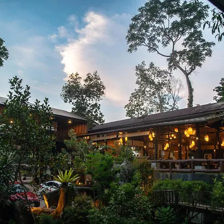 Rock And Tree House Resort-3