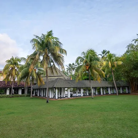 The Palms-3