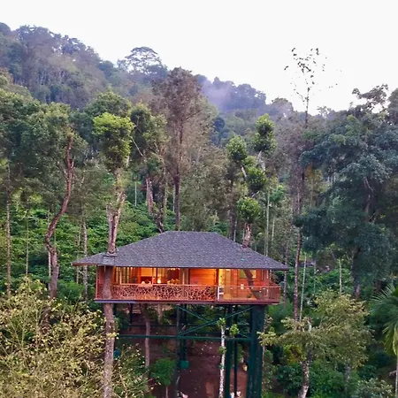Tranquil Resort - Blusalzz Collection, Wayanad - Kerala-2