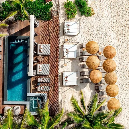 Secrets Tulum Resort & Beach Club (Adults Only)-3