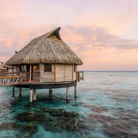 Le Tikehau By Pearl Resorts-2