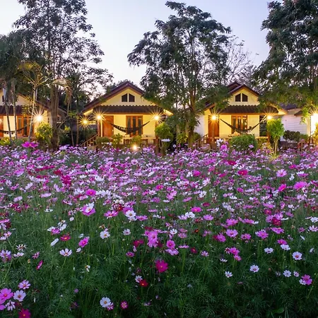 The Nest House-3