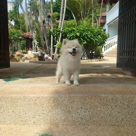 Samui Little Garden Resort-2