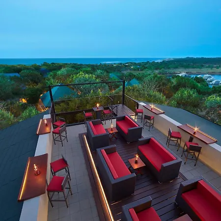 Cinnamon Wild Yala-3