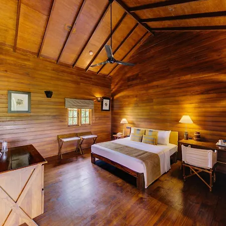 Cinnamon Wild Yala-3