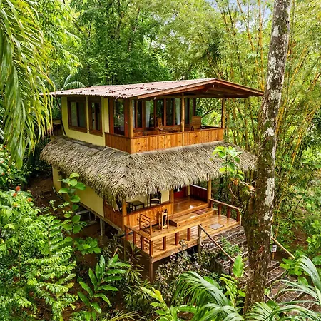 Copa De Arbol Beach&Rainforest Resort-3