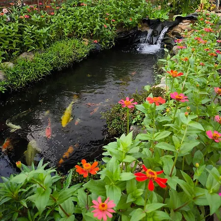 Dok Champa Resort-2