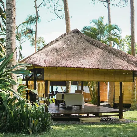 Alila Manggis-2
