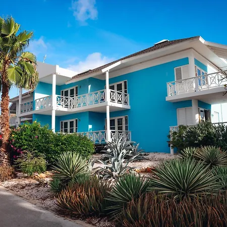 Chogogo Dive & Beach Resort Curacao-3